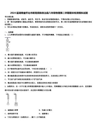 2024届湖南省怀化市新晃侗族自治县八年级物理第二学期期末检测模拟试题含解析.doc