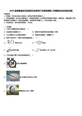 2024届湖南省武汉武昌区五校联考八年级物理第二学期期末综合测试试题含解析.doc