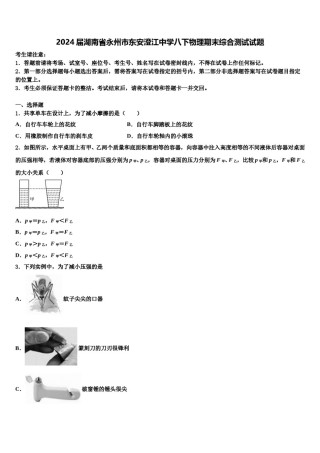 2024届湖南省永州市东安澄江中学八下物理期末综合测试试题含解析.doc