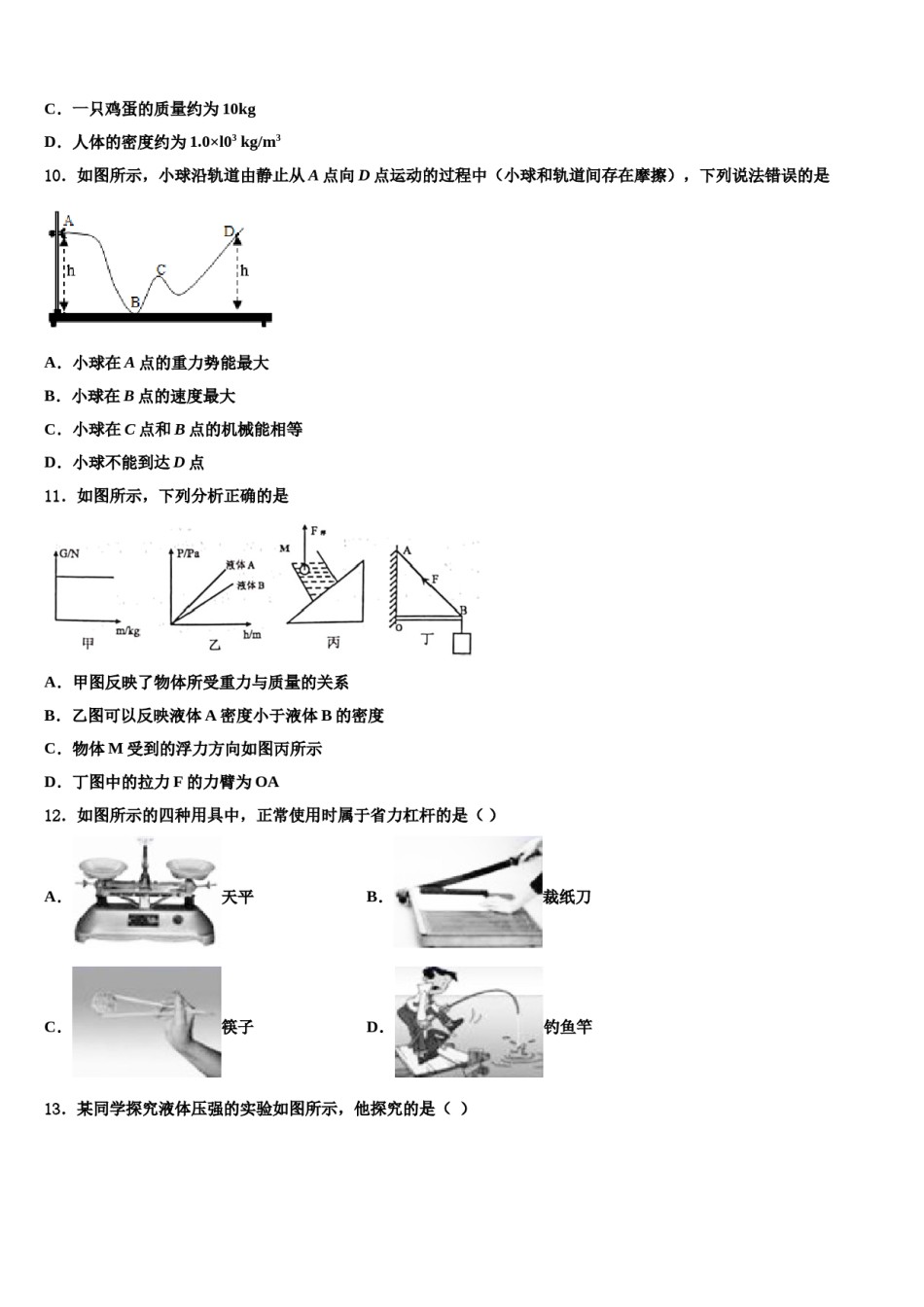 2024届湖南省永州市东安澄江中学物理八下期末联考模拟试题含解析.doc_第3页