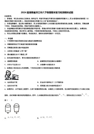 2024届湖南省洪江市八下物理期末复习检测模拟试题含解析.doc