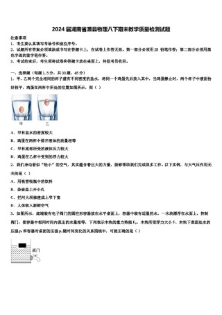 2024届湖南省澧县物理八下期末教学质量检测试题含解析.doc