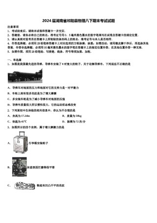 2024届湖南省祁阳县物理八下期末考试试题含解析.doc