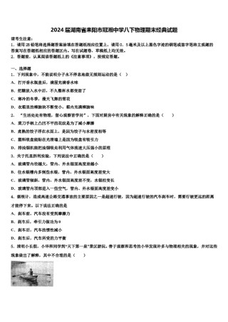 2024届湖南省耒阳市冠湘中学八下物理期末经典试题含解析.doc