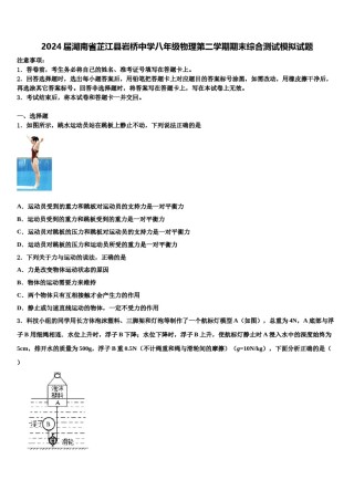 2024届湖南省芷江县岩桥中学八年级物理第二学期期末综合测试模拟试题含解析.doc