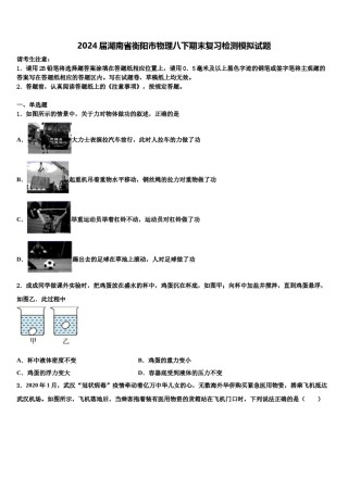 2024届湖南省衡阳市物理八下期末复习检测模拟试题含解析.doc