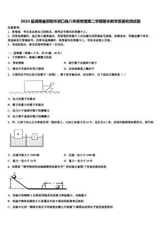 2024届湖南省邵阳市洞口县八年级物理第二学期期末教学质量检测试题含解析.doc