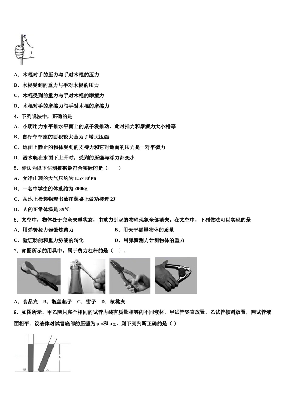 2024届湖南省长沙市周南实验中学物理八下期末调研模拟试题含解析.doc_第2页