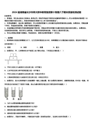 2024届湖南省长沙市师大附中教育集团第十物理八下期末质量检测试题含解析.doc