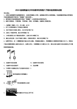2024届湖南省长沙市怡雅学校物理八下期末监测模拟试题含解析.doc