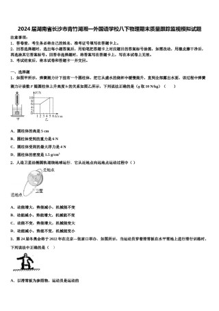 2024届湖南省长沙市青竹湖湘一外国语学校八下物理期末质量跟踪监视模拟试题含解析.doc