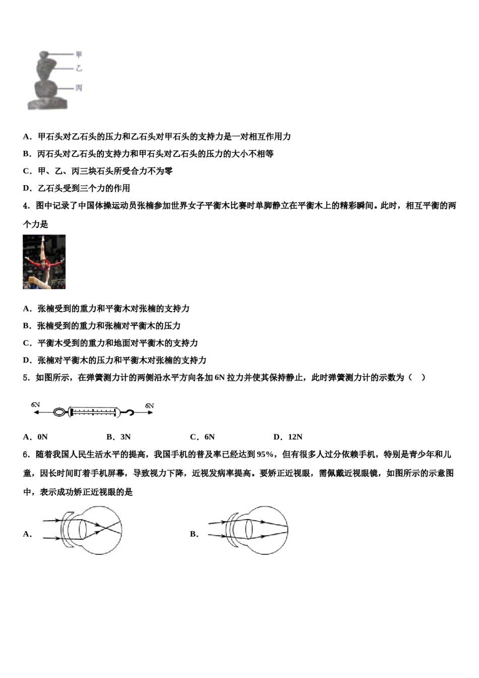 2024届湖南邵阳市区八年级物理第二学期期末综合测试模拟试题含解析.doc_第2页