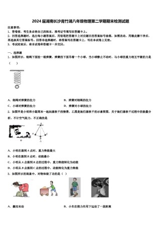 2024届湖南长沙青竹湖八年级物理第二学期期末检测试题含解析.doc