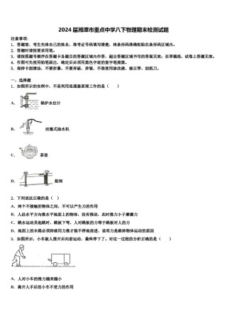 2024届湘潭市重点中学八下物理期末检测试题含解析.doc