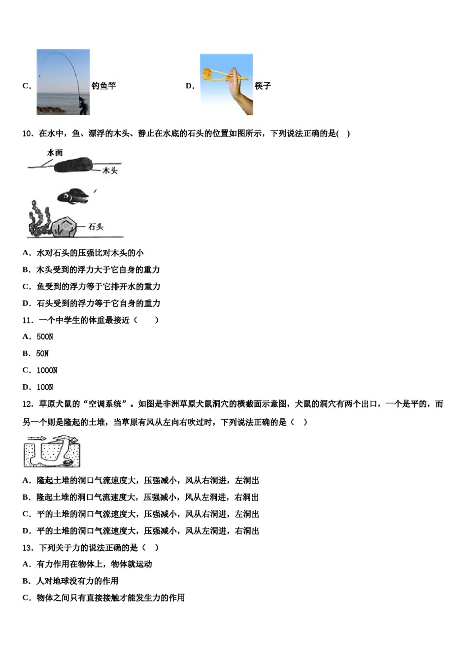 2024届牡丹江市重点中学物理八下期末预测试题含解析.doc_第3页