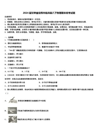 2024届甘肃省定西市临洮县八下物理期末统考试题含解析.doc