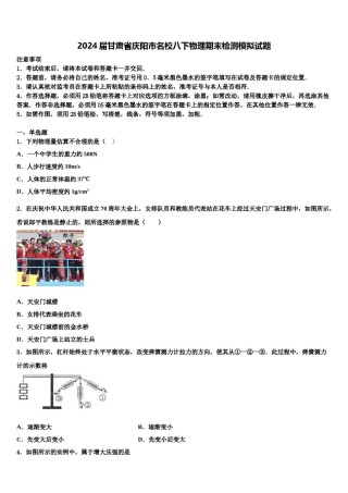 2024届甘肃省庆阳市名校八下物理期末检测模拟试题含解析.doc