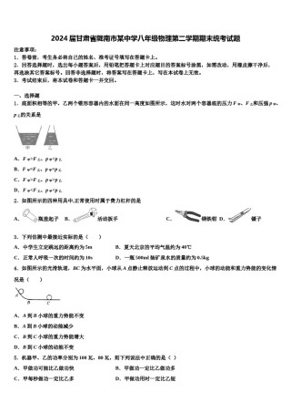 2024届甘肃省陇南市某中学八年级物理第二学期期末统考试题含解析.doc