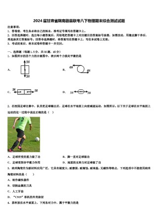2024届甘肃省陇南徽县联考八下物理期末综合测试试题含解析.doc