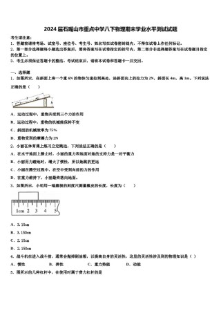 2024届石嘴山市重点中学八下物理期末学业水平测试试题含解析.doc