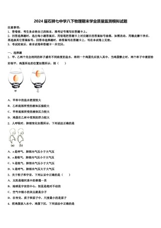 2024届石狮七中学八下物理期末学业质量监测模拟试题含解析.doc
