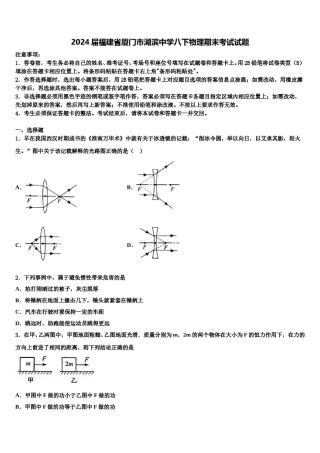 2024届福建省厦门市湖滨中学八下物理期末考试试题含解析.doc