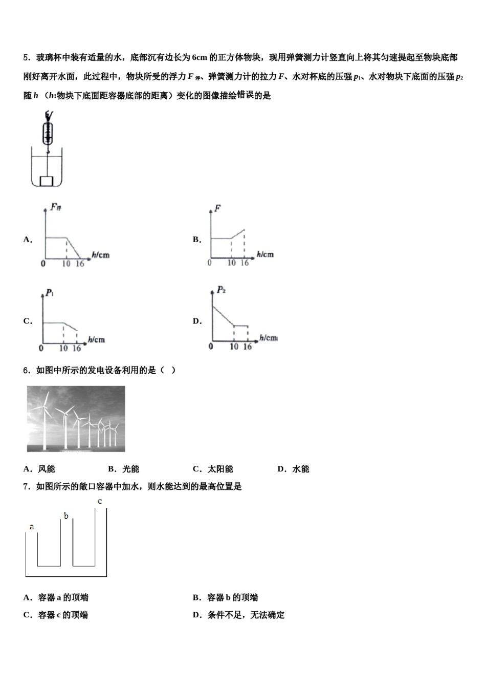 2024届福建省厦门市第五中学物理八下期末经典试题含解析.doc_第2页