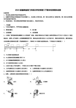 2024届福建省厦门市部分学校物理八下期末检测模拟试题含解析.doc