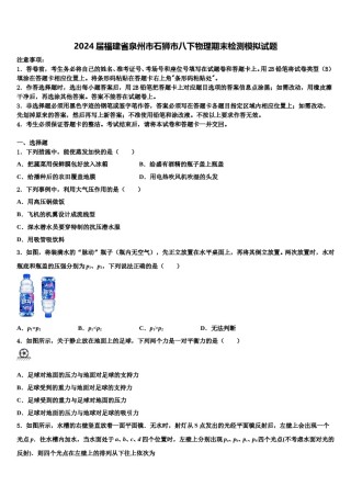 2024届福建省泉州市石狮市八下物理期末检测模拟试题含解析.doc