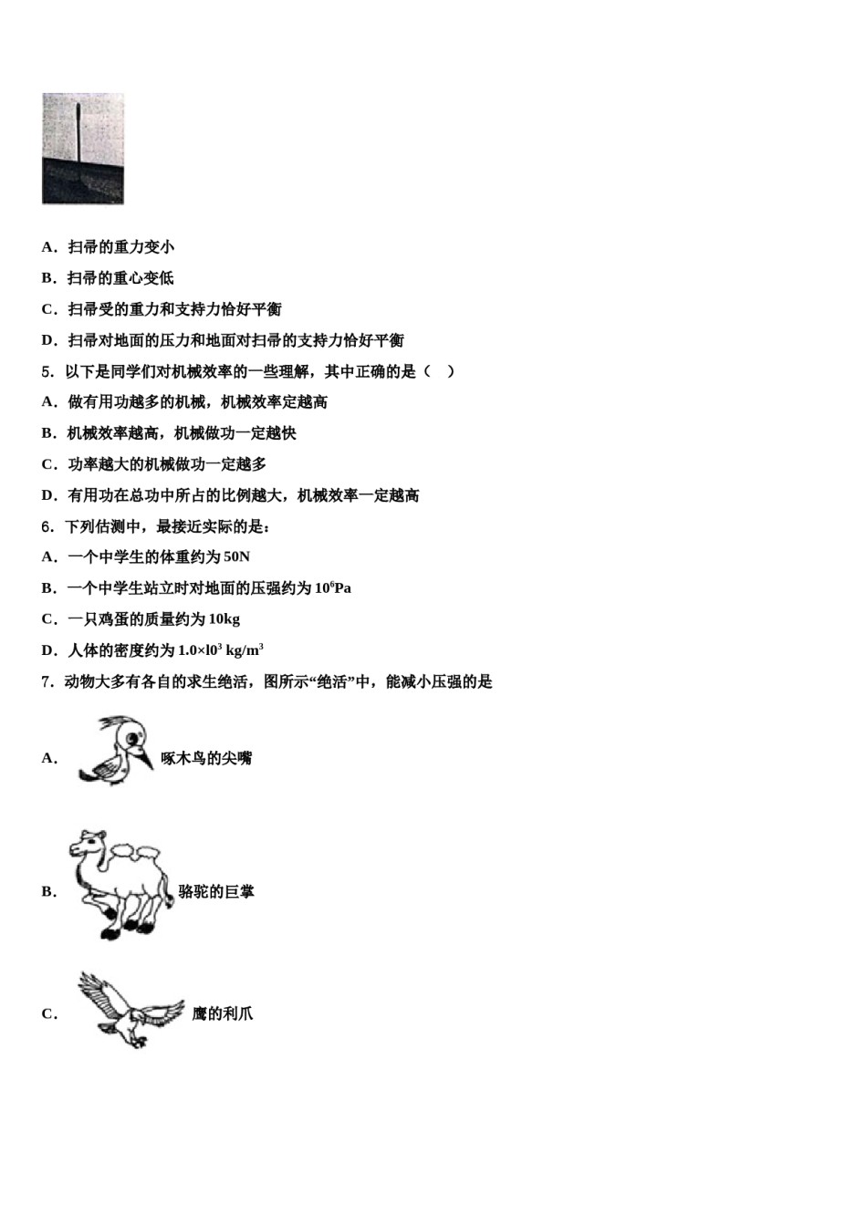 2024届福建省长泰一中学、华安一中学物理八下期末检测模拟试题含解析.doc_第2页