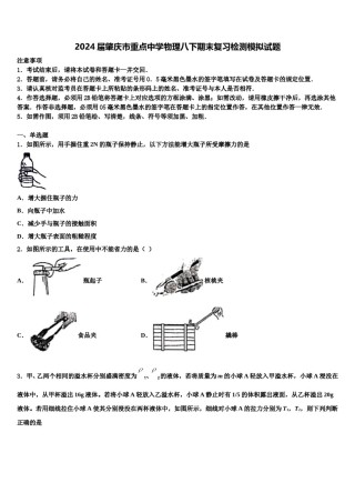 2024届肇庆市重点中学物理八下期末复习检测模拟试题含解析.doc
