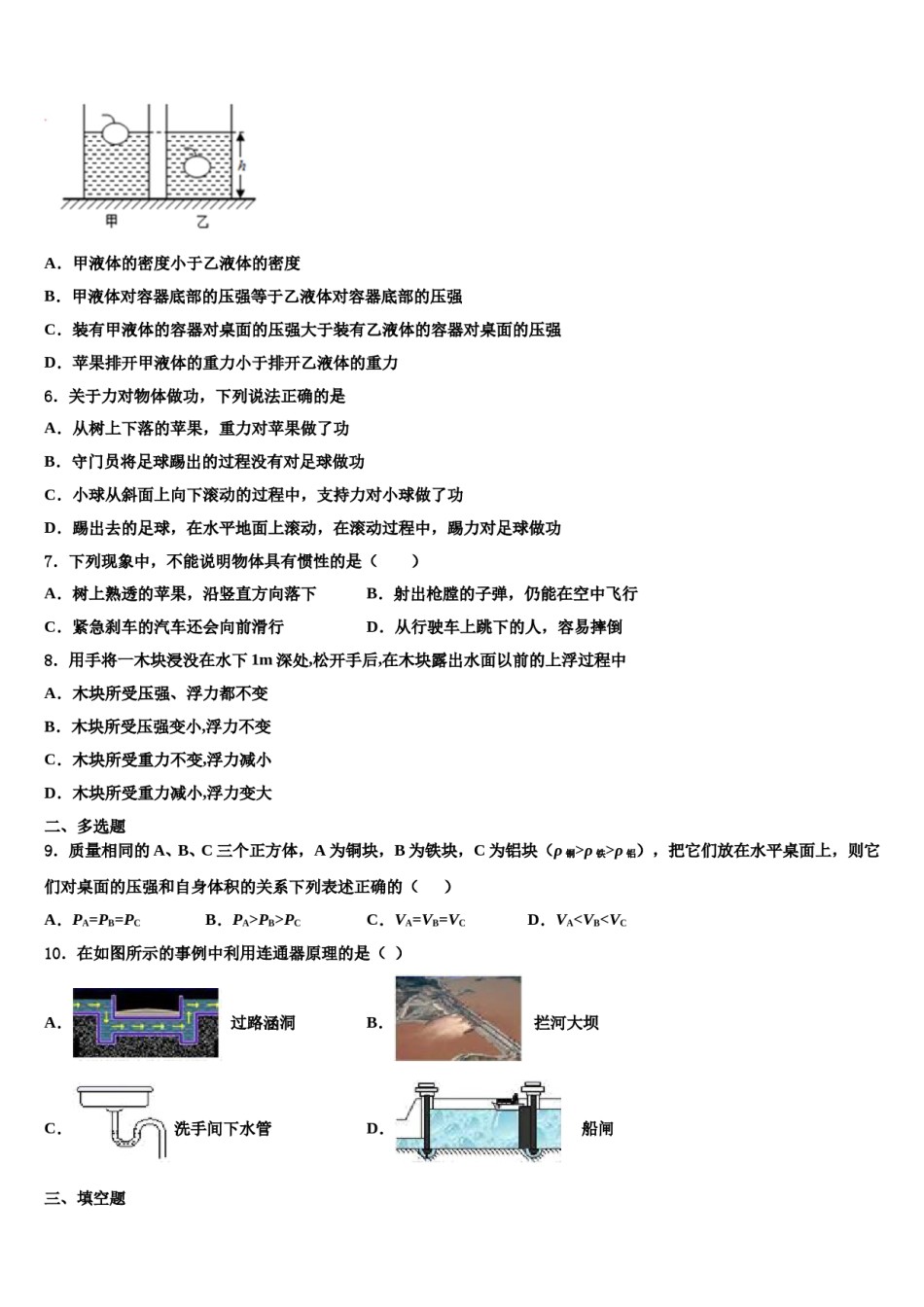 2024届西双版纳市重点中学物理八下期末考试模拟试题含解析.doc_第2页