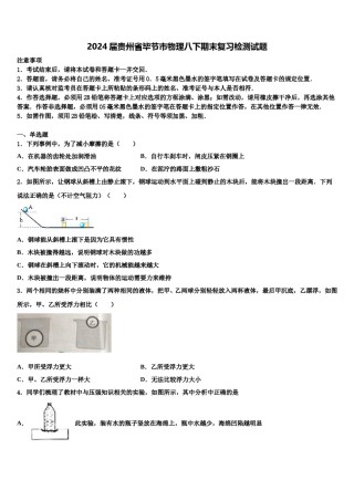 2024届贵州省毕节市物理八下期末复习检测试题含解析.doc