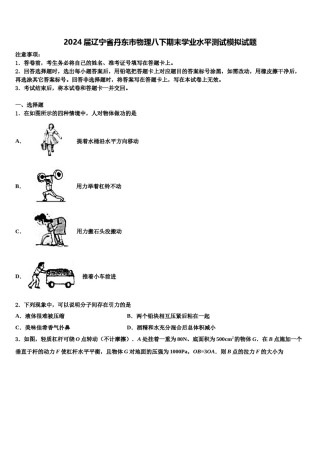 2024届辽宁省丹东市物理八下期末学业水平测试模拟试题含解析.doc