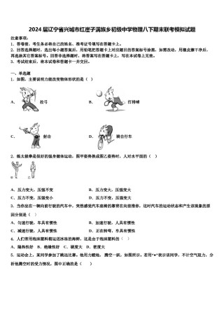 2024届辽宁省兴城市红崖子满族乡初级中学物理八下期末联考模拟试题含解析.doc