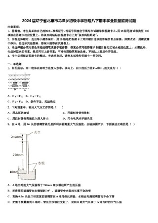 2024届辽宁省北票市龙潭乡初级中学物理八下期末学业质量监测试题含解析.doc