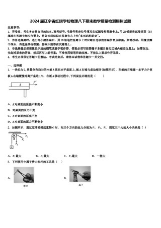 2024届辽宁省红旗学校物理八下期末教学质量检测模拟试题含解析.doc