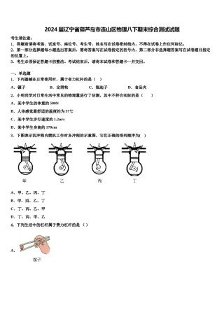 2024届辽宁省葫芦岛市连山区物理八下期末综合测试试题含解析.doc