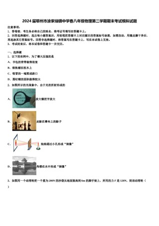2024届鄂州市涂家垴镇中学春八年级物理第二学期期末考试模拟试题含解析.doc
