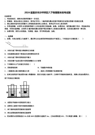 2024届重庆市沙坪坝区八下物理期末统考试题含解析.doc