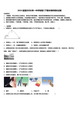 2024届重庆市长寿一中学物理八下期末调研模拟试题含解析.doc