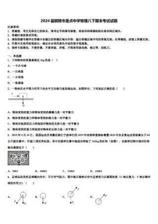 2024届铜陵市重点中学物理八下期末考试试题含解析.doc