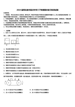 2024届阿拉善市重点中学八下物理期末复习检测试题含解析.doc