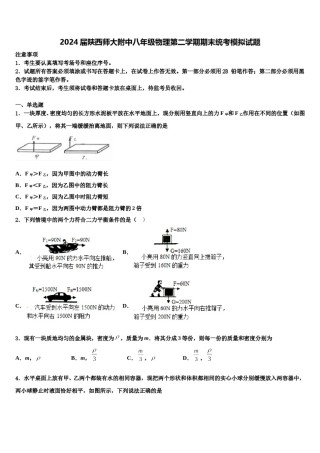 2024届陕西师大附中八年级物理第二学期期末统考模拟试题含解析.doc