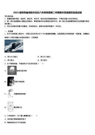 2024届陕西省咸阳市名校八年级物理第二学期期末质量跟踪监视试题含解析.doc