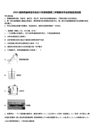 2024届陕西省商洛市名校八年级物理第二学期期末学业质量监测试题含解析.doc