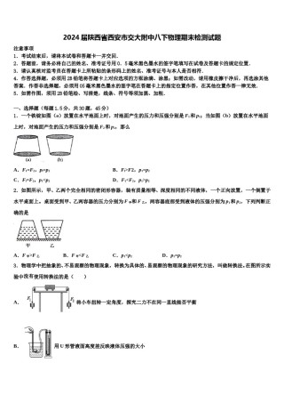 2024届陕西省西安市交大附中八下物理期末检测试题含解析.doc