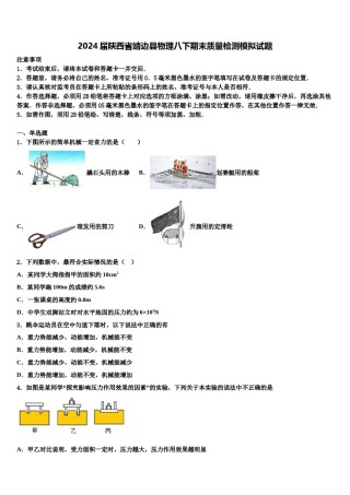 2024届陕西省靖边县物理八下期末质量检测模拟试题含解析.doc