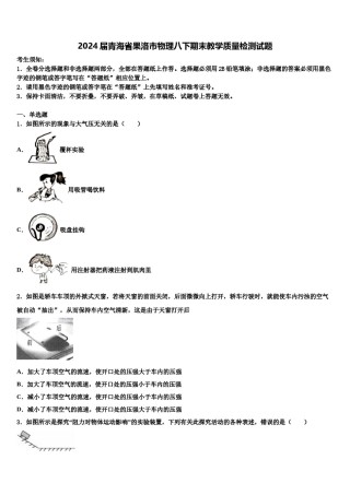 2024届青海省果洛市物理八下期末教学质量检测试题含解析.doc