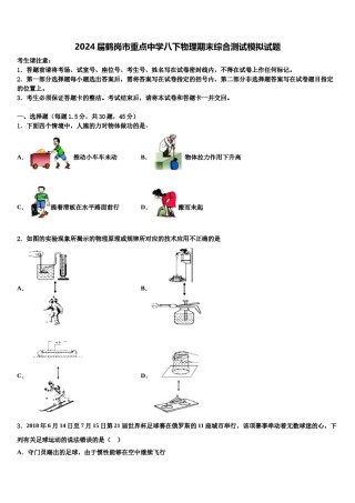 2024届鹤岗市重点中学八下物理期末综合测试模拟试题含解析.doc